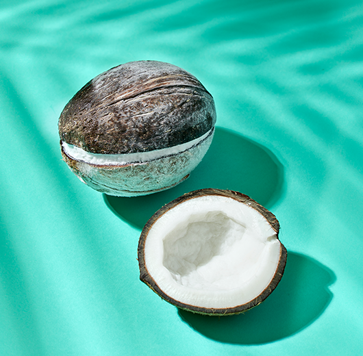 TUTTIFRUTTI 9094 COCONUT